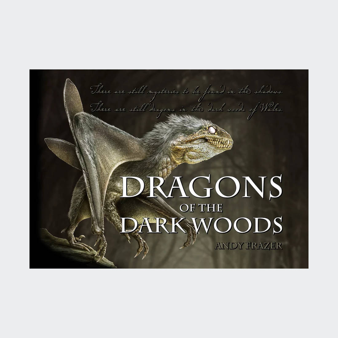 Dragons of the Dark Woods